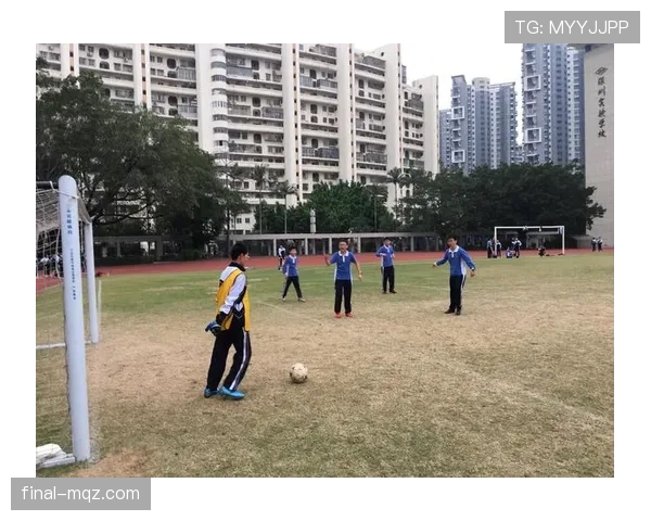 球门球规则详解：何时算有效发出？